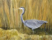 Great Blue Heron in the Grass Watercolor