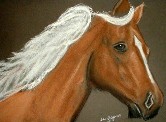 PALOMINO HORSE#1 Pastel
