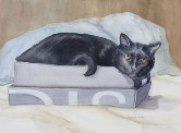 Cat in the Box Watercolor