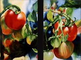 TOMATOES FOR NERUDA Watercolor