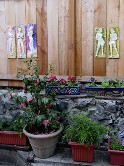 View of a backyard with sculpture relief hanging on the wooden fence