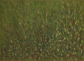Meadow Pastel