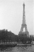 Virginia Garcia's Virginia's Eiffel Tower