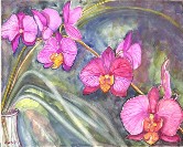 Orchids for my recovery Watercolor