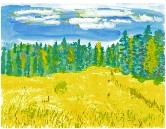 Western Adirondac scene #6 Watercolor