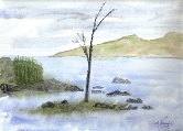 Lonely Tree #23 Watercolor