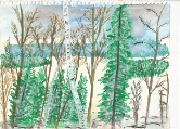 26 Maine Winter Theme Watercolor