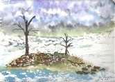 Lonely Trees #32 Watercolor