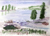 Lake and Trees #36 Watercolor