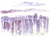 Vision in Shades of Purple #64 Watercolor