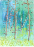 Mysterious Forest #72 Watercolor
