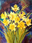 Daffodils from Bibi Watercolor