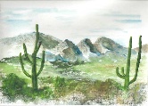 106 Santa Catalina State Park Arizona Theme Watercolor