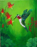 Broad-Tailed hummingbird