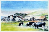 D Ranch Watercolor