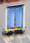 Window Flower Boxes - Venice Photography
