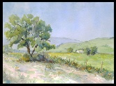 Poppies and Oaks Watercolor