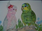 Pink parrot and Amazon