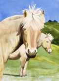 Ponies in the pasture Watercolor