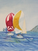 Coastal Cup 2010 Watercolor