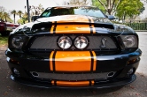 Shelby GT500 Photography