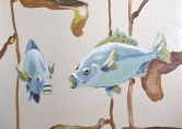 Blue Fish detail Acrylic