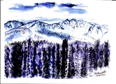 217 Olympic National Park Watercolor
