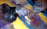 3 Cats on a Bedspread