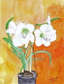 mesart 245 Amaryllis Watercolor
