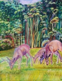 Angel Island, The deer Family Watercolor