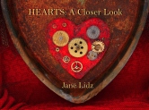 Jane Lidz's Hearts: A Closer Look by Jane Lidz