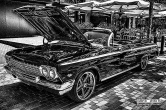 Black Impala Photography