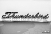 Thunderbird Photography