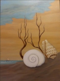 Sea Shells on Shore