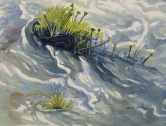 Spanish Creek Current Watercolor