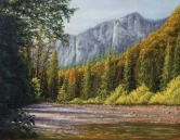 Sunlit Stream Yosemite Oil
