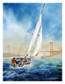 Sailing the Bay Watercolor
