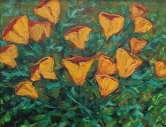 Spring Poppies Oil