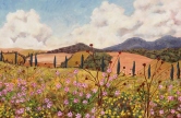 Tuscan Flower Field Oil
