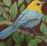 Blue and Yellow Bird Oil