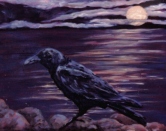 Night Raven Oil