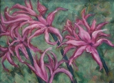 Pink Lillies Oil
