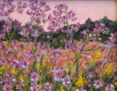 Pink U.P. Flower Field Oil