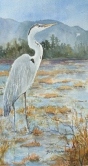 My Blue Heron Watercolor