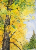Autumn Brilliante Watercolor