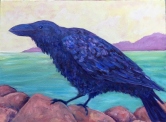 Yelapa Raven Oil