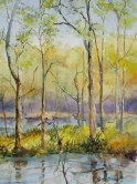 Wetland Watercolor