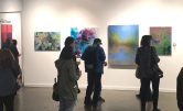 Sanctuary Show at Arc Gallery, 2019