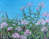 Pink March Blossoms Oil