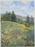 April on Acalanes Ridge Watercolor